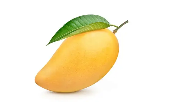 انبه برای بهبود زخم